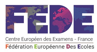 Mastère européen Management et Stratégie d'Entreprise en alternance